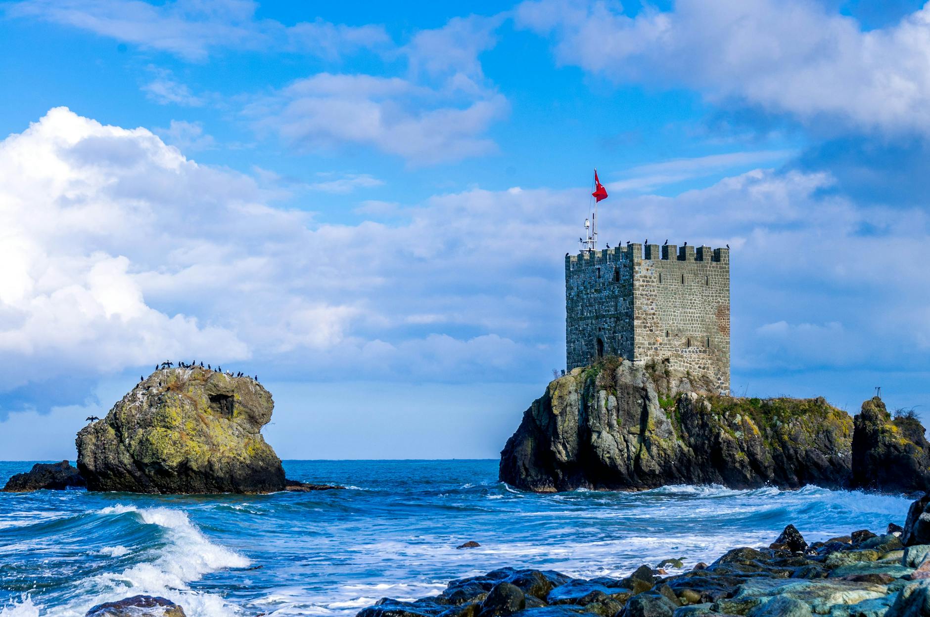 🌍Secure the Perfect Domain